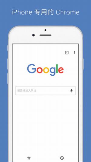 谷歌浏览器图2