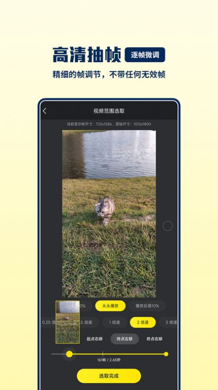 GIF巧手图2