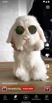 youtube 海外版图3