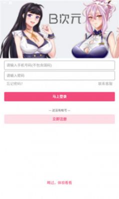 B次元正版图2