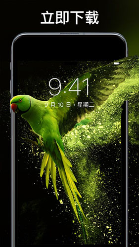 主题壁纸专业版图3