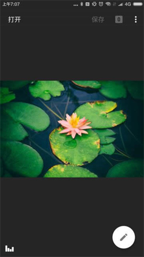 Snapseed叶子修图图2