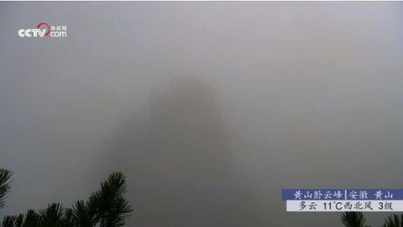秒看电视手机版图2