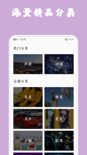 魔秀主题图2