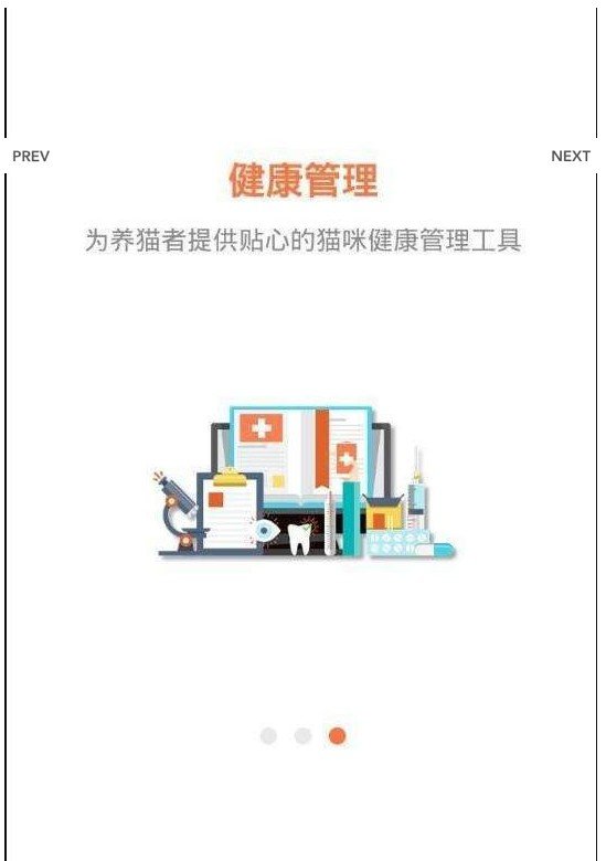 有猫图3