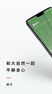 潮汐图2