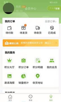 绿色金子图1