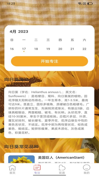 百花步数图3