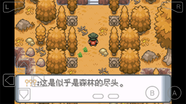 口袋妖怪登峰造极不会闪退版图1