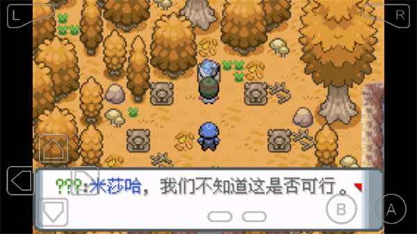 口袋妖怪登峰造极不会闪退版图4