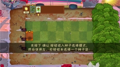 植物大战僵尸老八版(3)