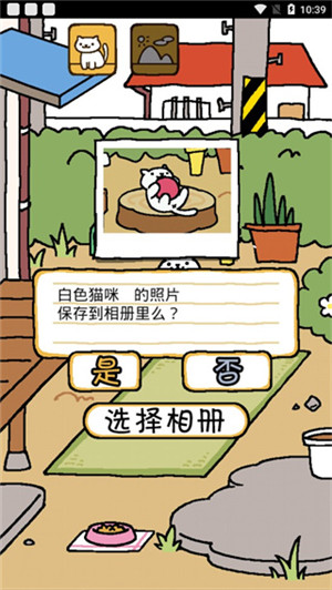 猫咪后院无限金鱼干版(1)