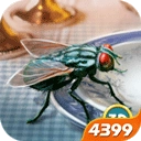 苍蝇模拟器中文版app下载-苍蝇模拟器中文版免费下载