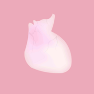 LIFE(生命模拟器)单机版下载-LIFE(生命模拟器)最新下载