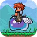泰拉瑞亚国服正版 V1.4.4.9.2
