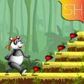 熊猫跳跃跑酷 V6.0