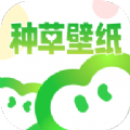 种草壁纸 V1.0.4