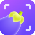 茄子相机 V1.0.0.0