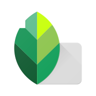 Snapseed叶子修图 V2.19.1.303051424