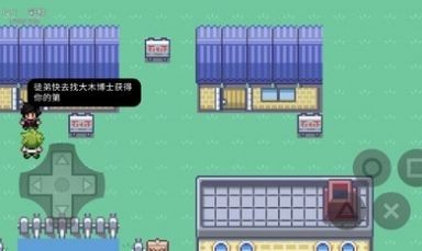 宝可梦无限融合5.0手机汉化版(1)