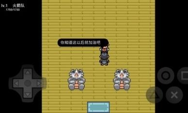 宝可梦无限融合5.0手机汉化版(2)