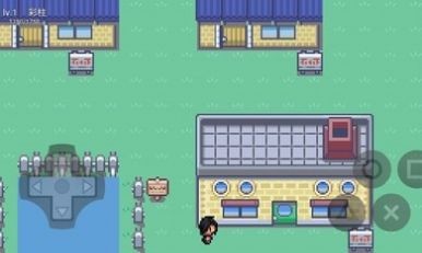 宝可梦无限融合5.0手机汉化版(3)