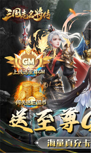 三国志名将传神将余额无限提版(1)
