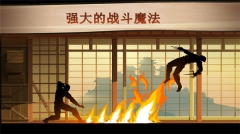 暗影格斗2华为版(2)