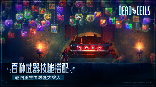 重生细胞全dlc无限血版图1
