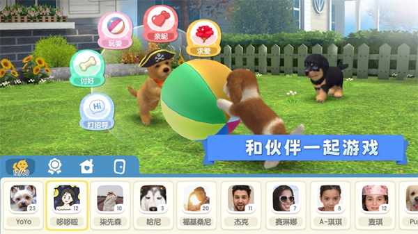 梦幻小狗最新版图2