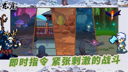 龙崖2025最新版图3