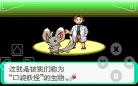 口袋妖怪漆黑的魅影金手指修改版图4