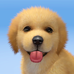 梦幻小狗最新版 V1.0.3