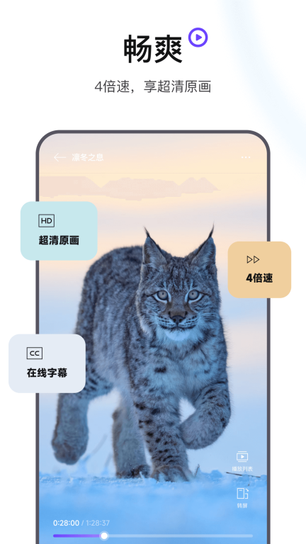 迅雷浏览器安卓版图5