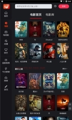 大米星球影视免费(电影猎手)