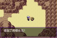 口袋妖怪漆黑的魅影正版