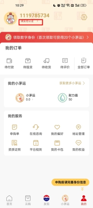 i茅台酒