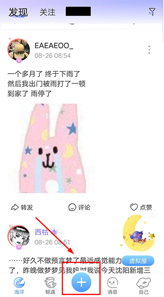 Walsea女性社交