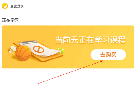 动因体育