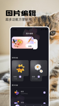 布偶相机图3