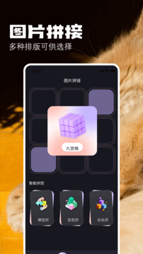 布偶相机图4