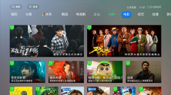 vst全聚合tv