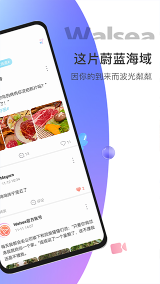Walsea女性社交图5