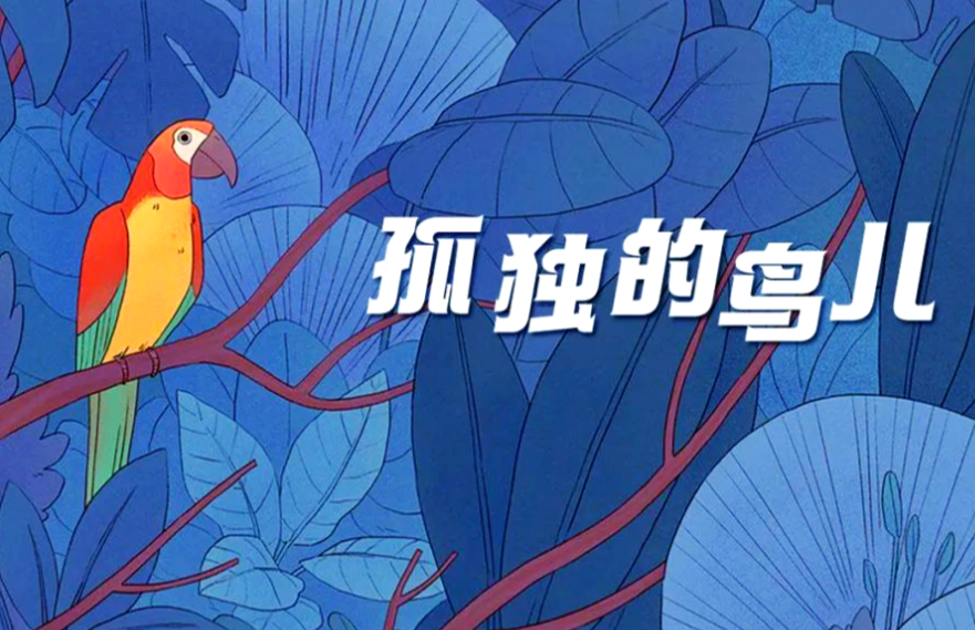 孤独的鸟儿