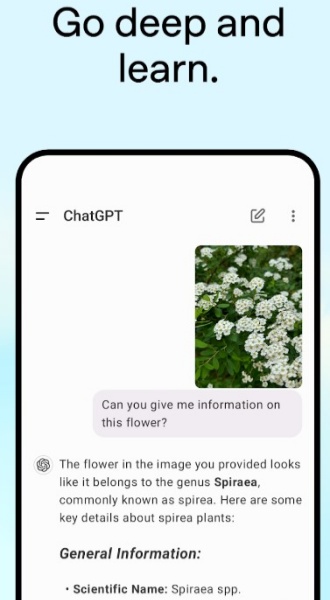 chatgpt官网版(2)