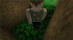 Survivalcraft2汉化版