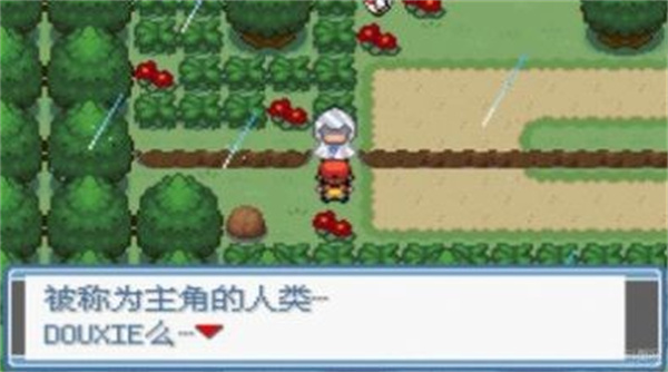 口袋妖怪究极绿宝石5
