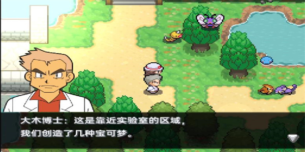 口袋妖怪极夜永昼无相