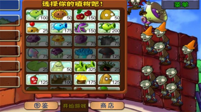 植物大战僵尸C支线版