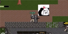 猫猫突围